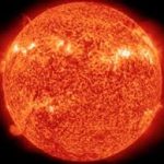 Sole