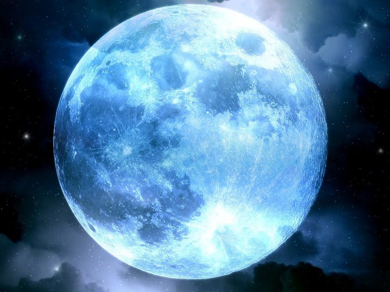LUNA_556