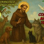 SAN_FRANCESCO_EQSL2